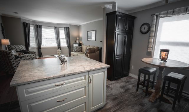 chadsharpe.com.Spaces.NL.Black.Kitchen.14